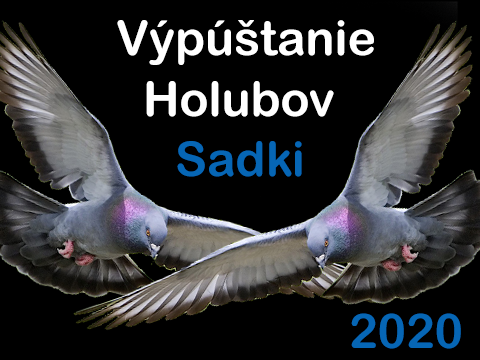 Vypúštanie v sadkách / 2020